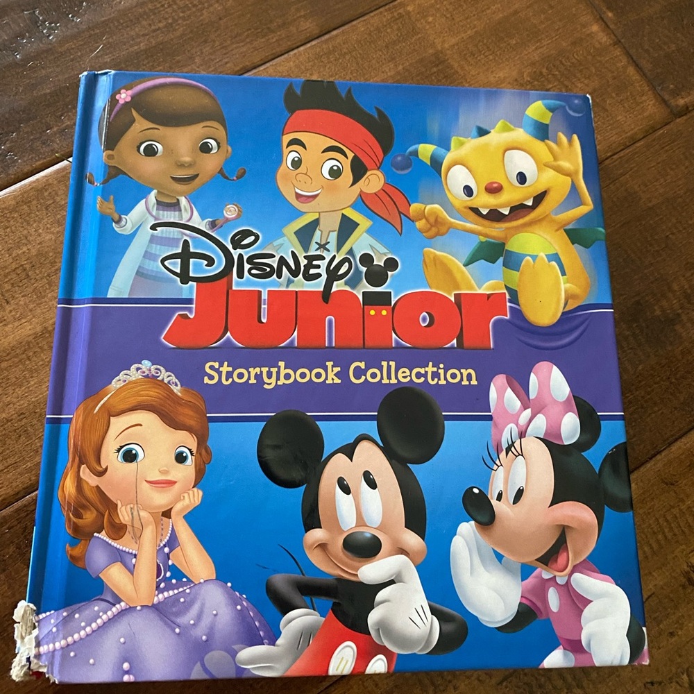 Disney Junior book